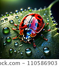 Adorable ladybug in the morning on a leaf with dew. 110586903