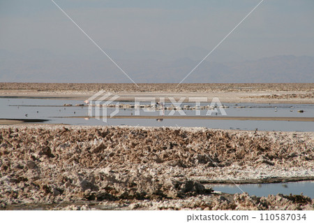 Flamingos at Lake Chaksa 110587034