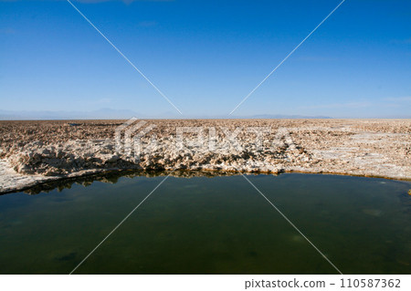 阿塔卡馬鹽湖 110587362