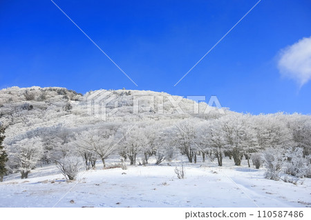 Rime of Myojindaira (tree ice) Rime of Myojindaira (tree ice) 110587486