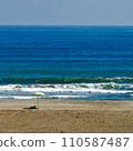 waves and umbrellas on the coast 110587487