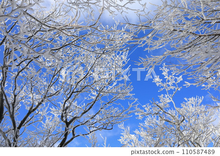 明神平的霧凇(樹冰) 明神平的霧凇(樹冰) 110587489