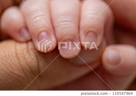 Macro shot of an infant's hand holding his mother's fingers. Beautiful picture of a baby palm squeezing her mother's finger. Family and parenthood concept. Macro shot of an infant's hand holding his mother's fingers. Beautiful picture of a baby palm squeezing her mother's finger. Family and parenthood concept. 110587964