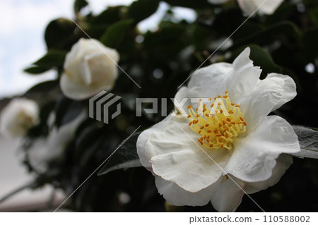 薩贊卡❀ 薩贊卡❀ 薩贊卡❀ 薩贊卡❀ 薩贊卡❀ 薩贊卡❀ 薩贊卡❀ 薩贊卡❀ 110588002