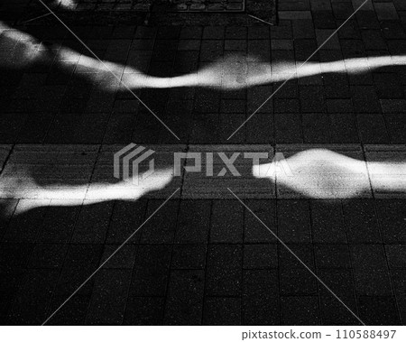 路面和光路 110588497