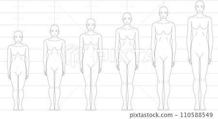 Human height balance seen from the front. Illustration of a female figure with 6.5 heads, 7 heads, 8 heads, and 9 heads. 110588549