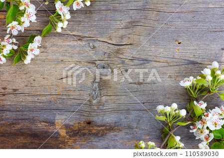 the blossoming branches the blossoming branches 110589030