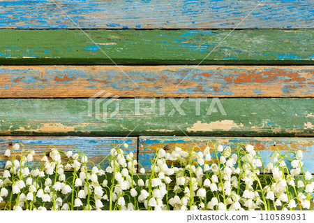 flowers lilies of the valley flowers lilies of the valley 110589031
