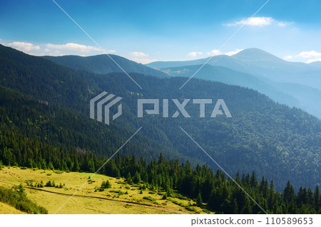 green carpathian mountain landscape with forested hills. alpine ukrainian scenery in summer with open view in to the distant hoverla peak. warm summer forenoon 110589653