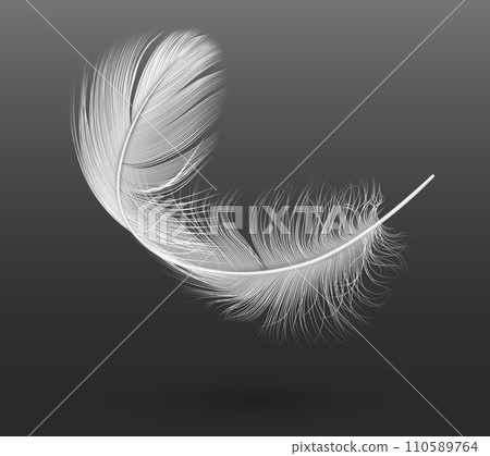 Flying white feather realistic vector illustration on black 110589764