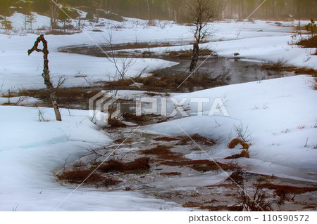 alternation of daytime thaw and night frosts - Creek 110590572