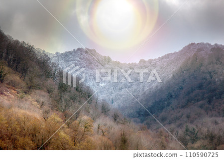 subtropical mountain forest in cold winter subtropical mountain forest in cold winter 110590725