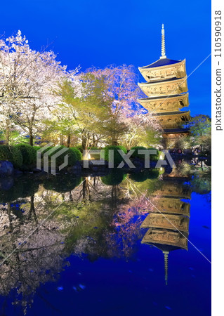 [Kyoto Prefecture] Toji Temple and cherry blossoms in full bloom at night (special night viewing) 110590918