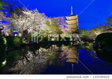 [Kyoto Prefecture] Toji Temple and cherry blossoms in full bloom at night (special night viewing) 110590929