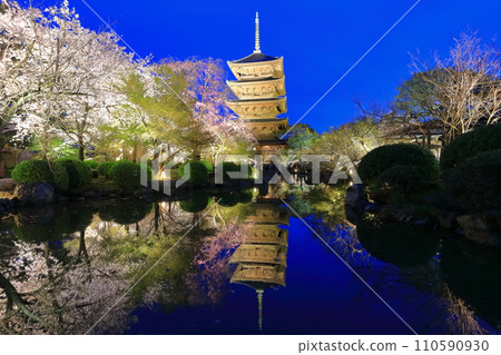 [Kyoto Prefecture] Toji Temple and cherry blossoms in full bloom at night (special night viewing) 110590930