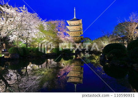 [Kyoto Prefecture] Toji Temple and cherry blossoms in full bloom at night (special night viewing) 110590931
