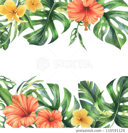 Tropical palm leaves, monstera and flowers of plumeria, hibiscus, bright juicy. Hand drawn watercolor botanical illustration. Template, frame isolated from the background Tropical palm leaves, monstera and flowers of plumeria, hibiscus, bright juicy. Hand drawn watercolor botanical illustration. Template, frame isolated from the background 110591120