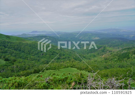 從禮文嶽山眺望五羅塔岬和金田岬 從禮文嶽山眺望五羅塔岬和金田岬 110591925