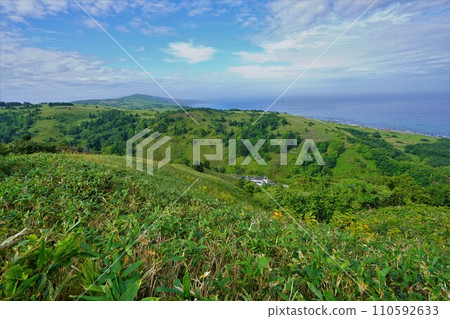 從禮文岳登山道出發的海岸線 從禮文岳登山道出發的海岸線 110592633