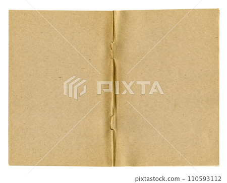 Blank pages Blank pages 110593112