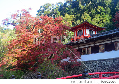 Autumn leaves season Minoh Takiyasuji Temple Phoenix and red maple leaves-2 Autumn leaves season Minoh Takiyasuji Temple Phoenix and red maple leaves-2 110593900