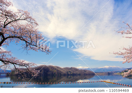 Cherry blossoms and Lake Kamafusa (Kamafusa Dam) [Kawasaki Town, Miyagi Prefecture] 110594469