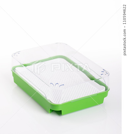 Cress growing kit. Green germination tray with white sieve insert and transparent cover. Sprouting set for sprouting seeds, and for growing shoots on the windowsill, without soil, and on water basis. Cress growing kit. Green germination tray with white sieve insert and transparent cover. Sprouting set for sprouting seeds, and for growing shoots on the windowsill, without soil, and on water basis. 110594622