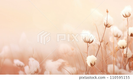 Cotton flower branch on soft pastel background, soft cotton flowers with copy space 110595155