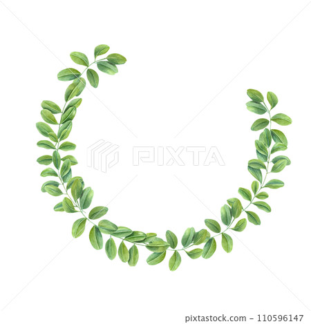 Wreath of green leaves. Climbing Branches of Asian plant. Cassia, Wisteria. Butterfly pea flower. Watercolor illustration. For postcards, greetings, invitation. Copy space for text Wreath of green leaves. Climbing Branches of Asian plant. Cassia, Wisteria. Butterfly pea flower. Watercolor illustration. For postcards, greetings, invitation. Copy space for text 110596147