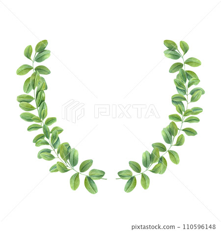 Green leaves. Wreath of climbing Branches of Asian plant. Cassia, Wisteria. Butterfly pea flower. Watercolor illustration. For postcards, greetings, invitation. Copy space for text 110596148