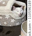 Sleep 110596189