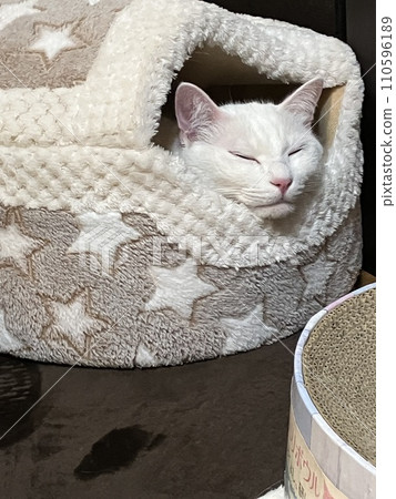 Sleep Sleep 110596189