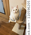 sit down 110596205