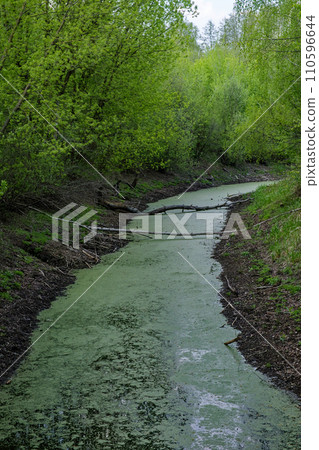 Green trees border a small, winding, murky waterway. 110596644