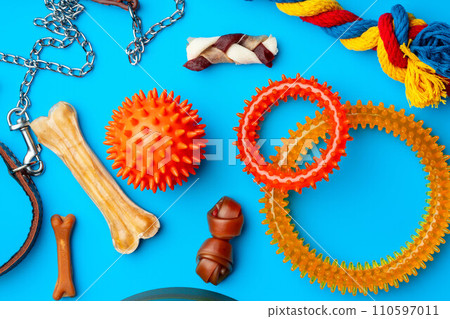 Treats and toys for dogs on blue background close up Treats and toys for dogs on blue background close up 110597011