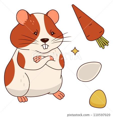 Cute orange and white hamster, carrots, corn kernels, pumpkin seeds. Isolated on a white background. 110597020
