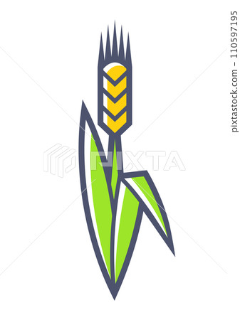 Grown ear with leaves. Agricultural, cultivation and planting illustration. 110597195