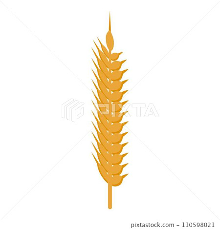 Healthy wheat food icon. Isometric of healthy wheat food vector icon for web design isolated on white background Healthy wheat food icon. Isometric of healthy wheat food vector icon for web design isolated on white background 110598021