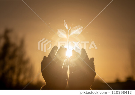 Concept of support for growth and development. Concept of support for growth and development. 110598412