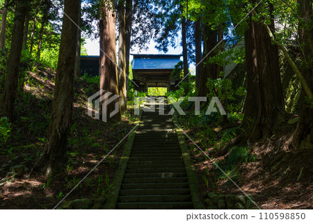 Spring in Ueda City, Nagano Prefecture, Bessho Onsen with fresh greenery, Anrakuji Temple Spring in Ueda City, Nagano Prefecture, Bessho Onsen with fresh greenery, Anrakuji Temple 110598850