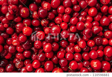 Close-up of cowberry berries. Natural background 110598881