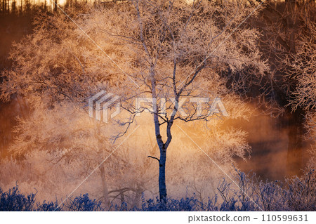 Fog ice and morning glow Fog ice and morning glow 110599631