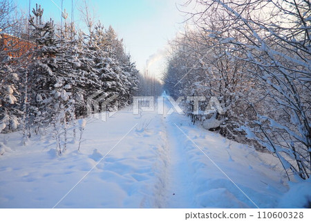 Pine forest in winter during the day in severe frost, Karelia. Snow on the coniferous branches. The production chimney produces a lot of white smoke. Path in the snow. Walk through the winter forest. 110600328
