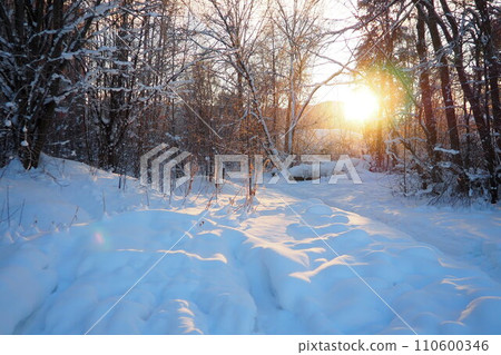 Snowy landscape with winter sun. Blue hour, pre-sunset sun above the horizon. Polar short day. Frost has frozen the trees. Glare of the sun on crust. Petrozavodsk, Karelia. Frost -30 degrees Celsius. 110600346