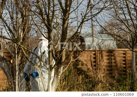 Using chemicals in the garden orchard gardener applying an insecticide a fertilizer to his fruit shrubs, using a sprayer Using chemicals in the garden orchard gardener applying an insecticide a fertilizer to his fruit shrubs, using a sprayer 110601069