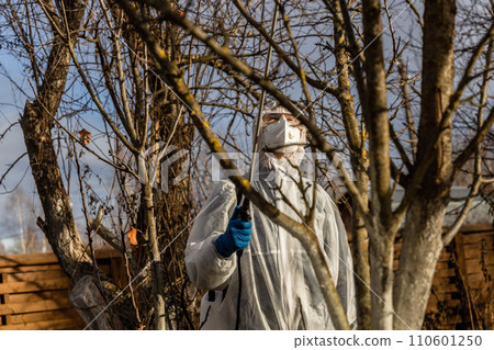 Using chemicals in the garden orchard gardener applying an insecticide a fertilizer to his fruit shrubs, using a sprayer Using chemicals in the garden orchard gardener applying an insecticide a fertilizer to his fruit shrubs, using a sprayer 110601250