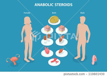 3D Isometric Flat Vector Illustration of Anabolic Steroids 110601430