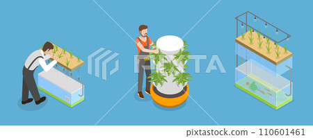 3D Isometric Flat Vector Illustration of Hydroponics, Aeroponics And Aquaponics In Greenhouse 3D Isometric Flat Vector Illustration of Hydroponics, Aeroponics And Aquaponics In Greenhouse 110601461