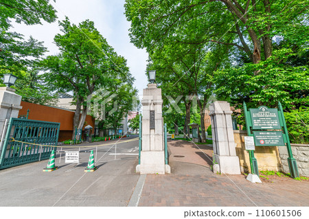 Hokkaido University, Sapporo City, Hokkaido, Sunny Weather 110601506