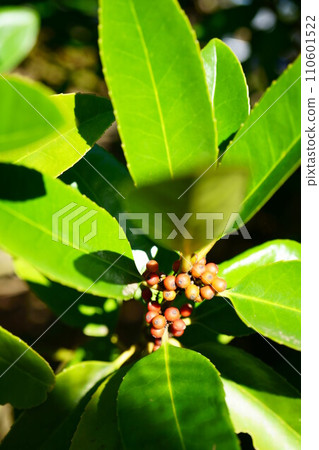 第5984章 110601522